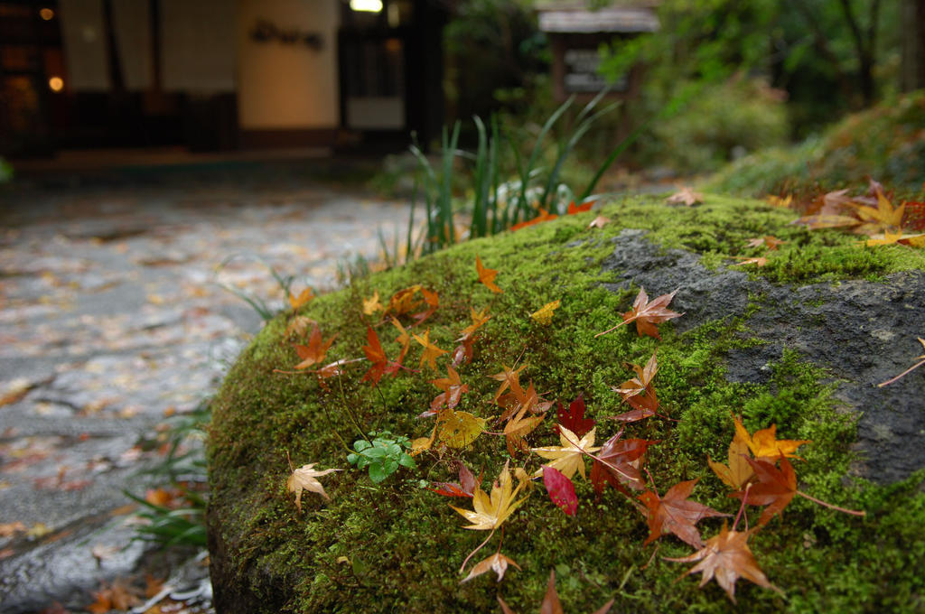 Yamamizuki Hotel Minamioguni Bagian luar foto